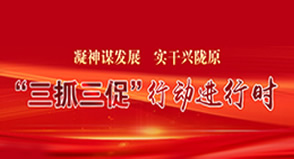 “三抓三促”行动进行时