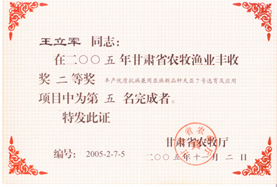 王立军05年二等奖.jpg