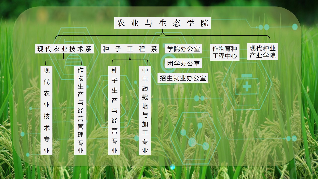 组织结构.jpg