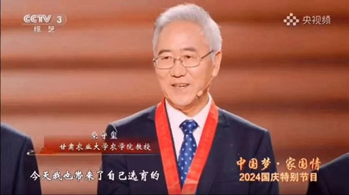 柴1.jpg